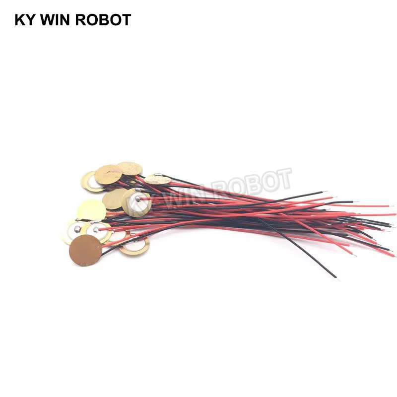 10 ชิ้นแผ่นเซรามิกเพียโซอิเล็ก - Diy Electronic Components บทวิจารณ์และราคา